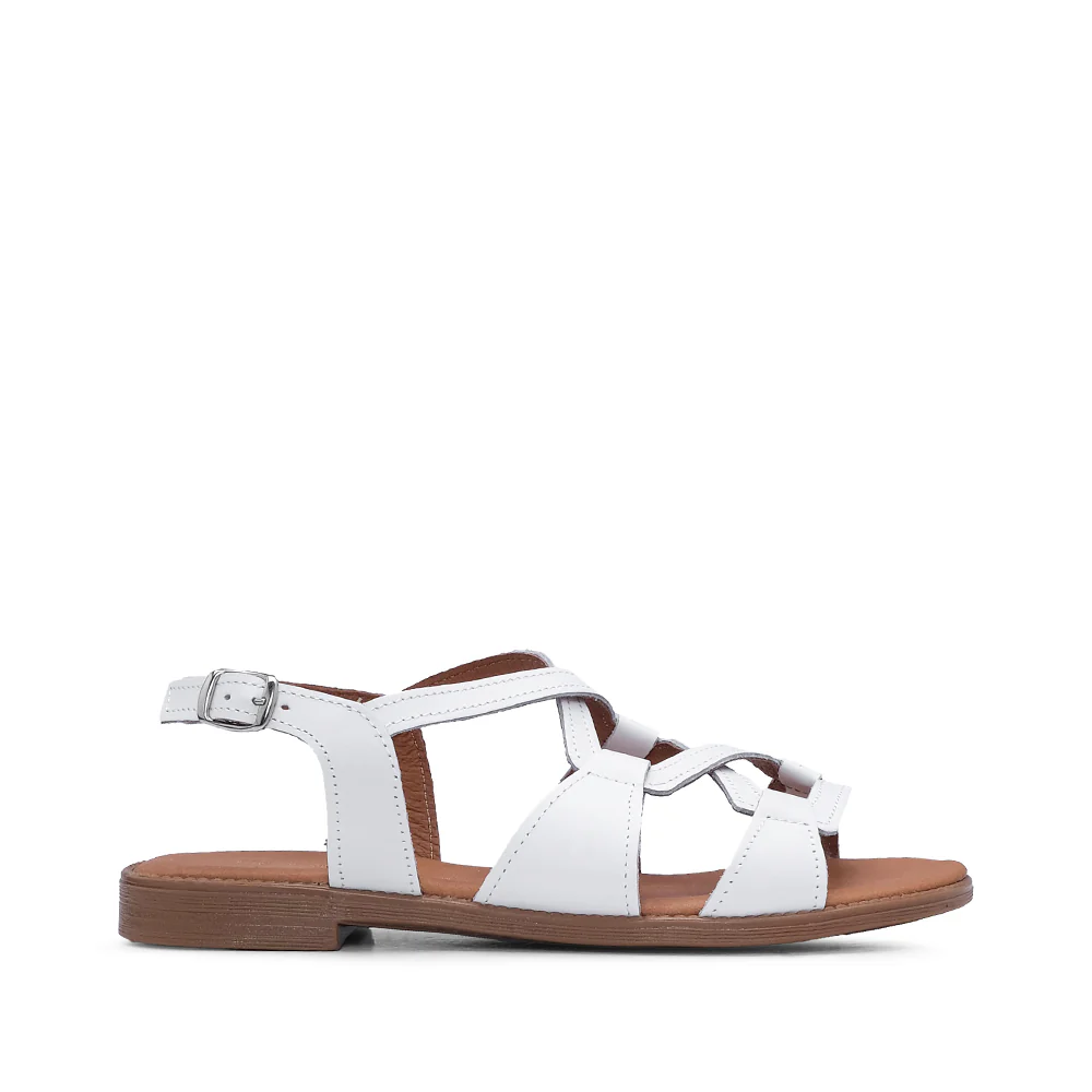 Imagem do produto 1